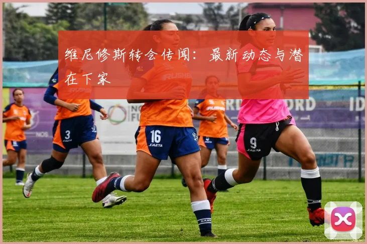 维尼修斯转会传闻：最新动态与潜在下家
